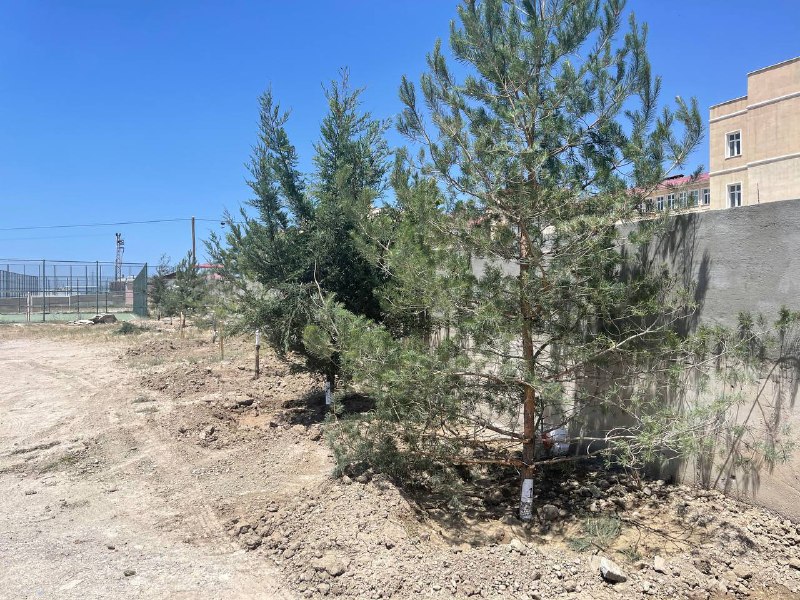 Tuşba Belediyesi Yeni Yollar Açmayı Sürdürüyor 